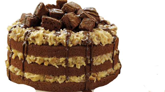 Brill German Chocolate Icing with Pecans 18 pounds RTU - Donut-Equipment.com